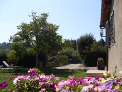 La Casina