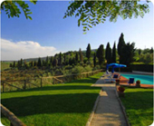 Agriturismo Niccolai Villa Arnilu'