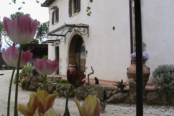 Azienda Agricola Polveraia