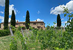 Tenuta Sovestro