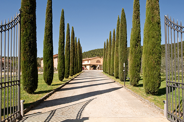 Le Terre Rosse