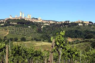 Le vigne e i campi che circondano il centro storico di San Gimignano